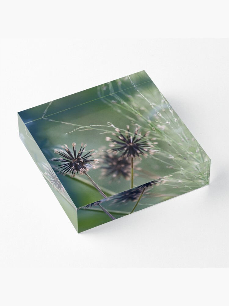 Alternate view of Black and green in nature Acrylic Block