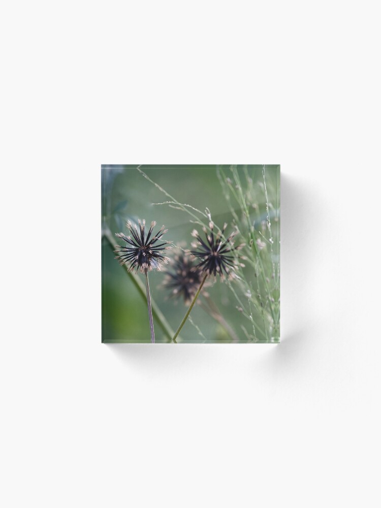 Alternate view of Black and green in nature Acrylic Block