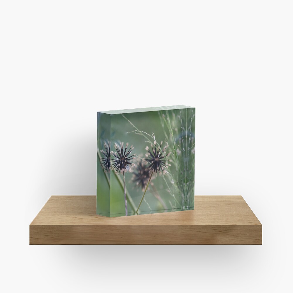 Black and green in nature Acrylic Block
