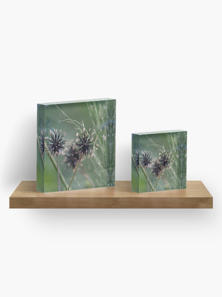 Alternate view of Black and green in nature Acrylic Block