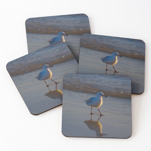 Item preview, A Seagull Carrying A Nut At Dawn designed and sold by Jason Gilbert.