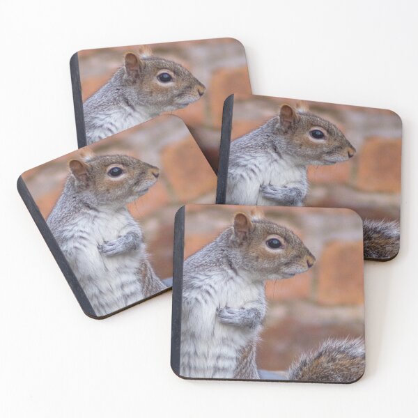 Item preview, Señor ardilla posando designed and sold by kwn1804.