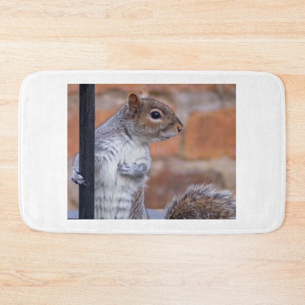 Artikelvorschau, Mr Squirrel posiert entworfen und verkauft von kwn1804.