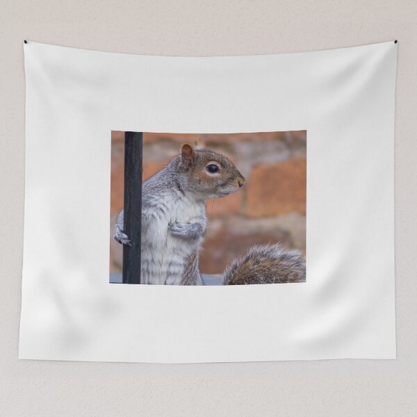 Item preview, Señor ardilla posando designed and sold by kwn1804.