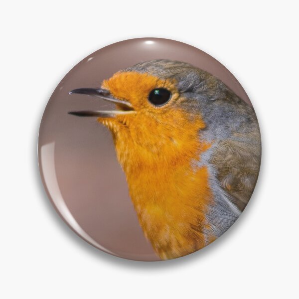 Item preview, robin redbreast closeup beautiful nature wildlife designed and sold by kwn1804.