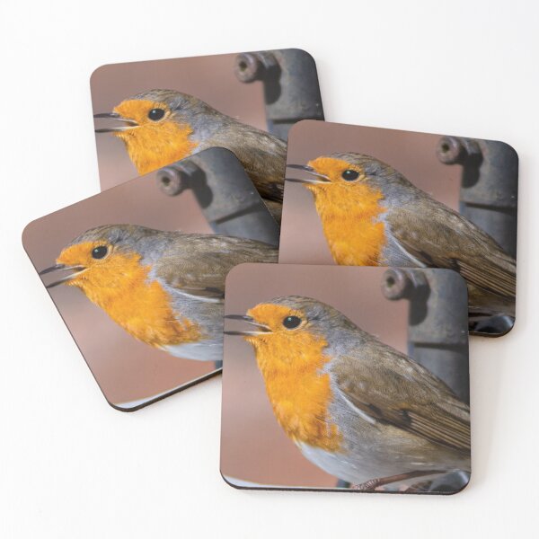 Item preview, robin redbreast closeup beautiful nature wildlife designed and sold by kwn1804.