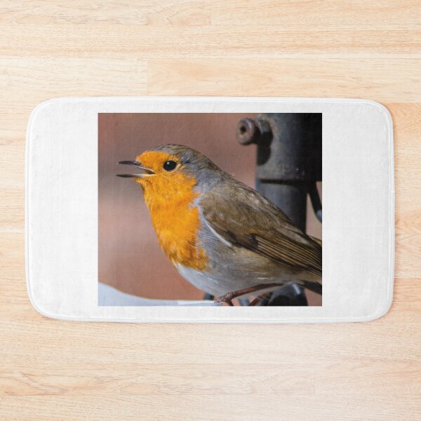 Item preview, robin redbreast closeup beautiful nature wildlife designed and sold by kwn1804.