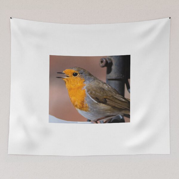 Item preview, robin redbreast closeup beautiful nature wildlife designed and sold by kwn1804.