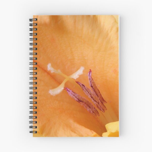 Item preview, Gladiolus designed and sold by SmoothBreeze7 | Liz Collet Photography.