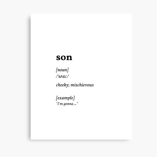 son dictionary meaning - cheeky mischievous (original) Essential