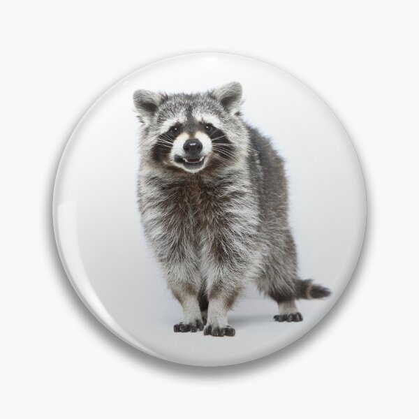 Item preview, racoon designed and sold by JeanettesPets.