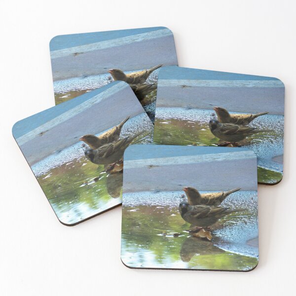 Item preview, Finches at Dark designed and sold by tomeoftrovius.