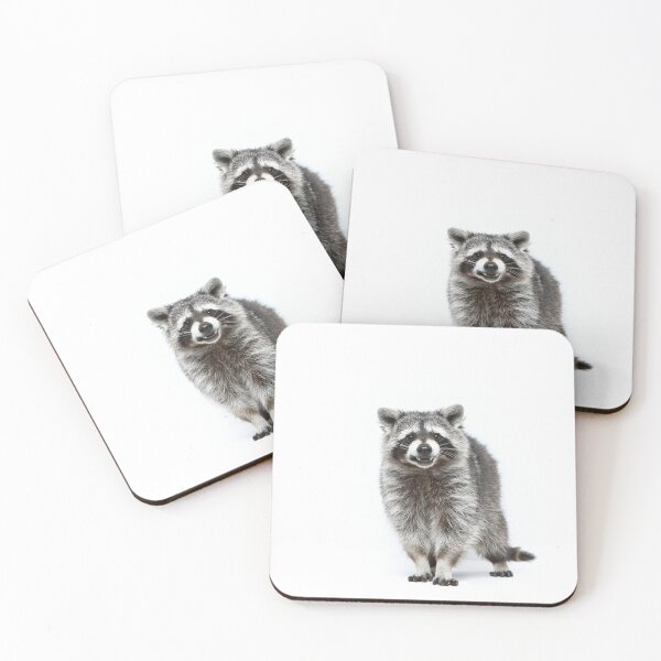 Item preview, racoon designed and sold by JeanettesPets.
