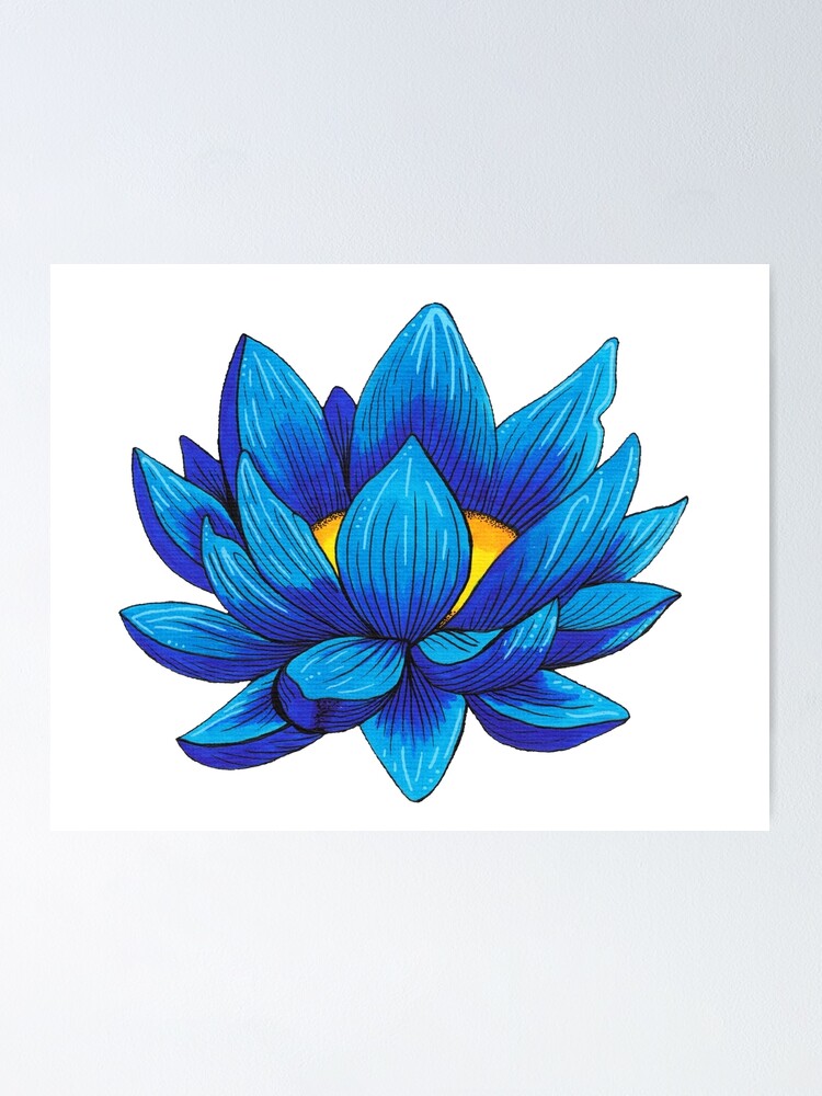 Blue Lotus Flower Poster By Inkhivecreative Redbubble