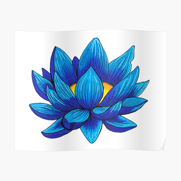 Blue Lotus Flower Poster By Inkhivecreative Redbubble