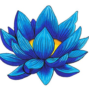 Blue Lotus Flower Art Board Print for Sale by inkhivecreative