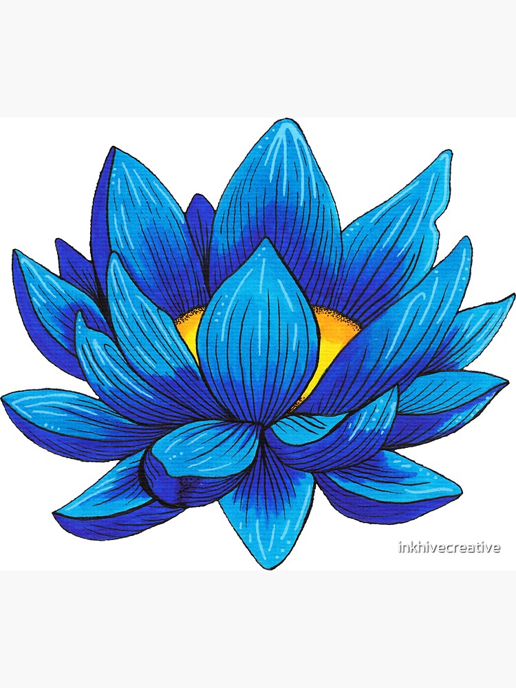 LOTUS PEN DRAWING 