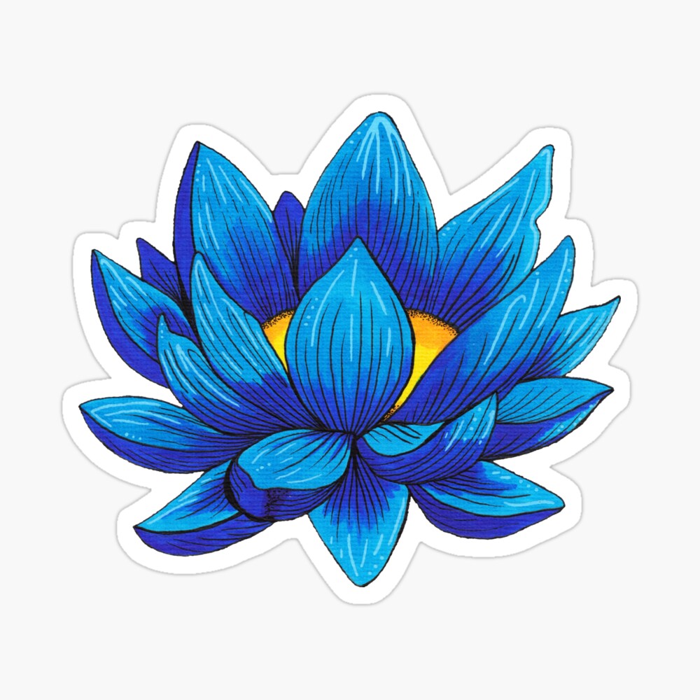 Person Is Sketching A Pink Lotus Flower With A Black Pen Background, Easy  Flower Picture To Draw, Easy, Easy Aesthetic Picture To Draw Background  Image And Wallpaper for Free Download