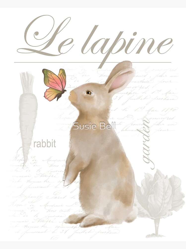 "Vintage french rabbit, le lapine" Poster for Sale by susiebellart