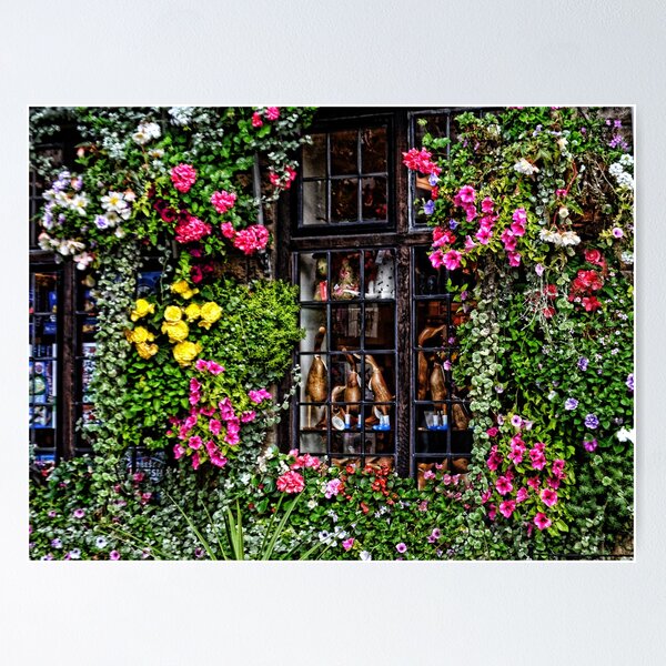 Item preview, Floral Framed Window At Wells Somerset designed and sold by lynn carter.