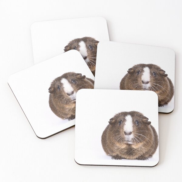 Item preview, Guinea pig designed and sold by JeanettesPets.