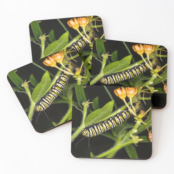Item preview, Monarch Caterpillar 3 designed and sold by Robert Alsop.