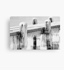 Freezing ..... Canvas Print