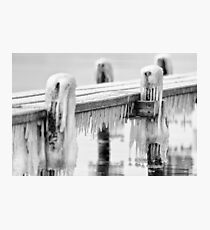 Freezing ..... Photographic Print