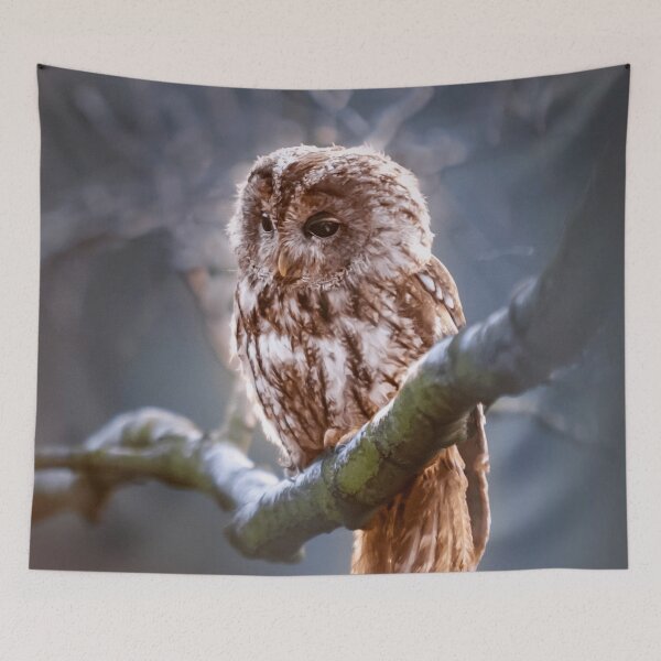 Item preview, Owl designed and sold by dplachkinova.