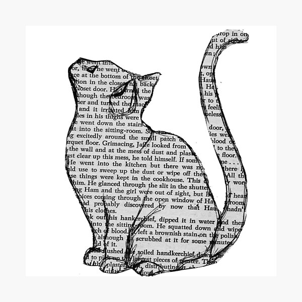 books and cats and books and cats Photographic Print