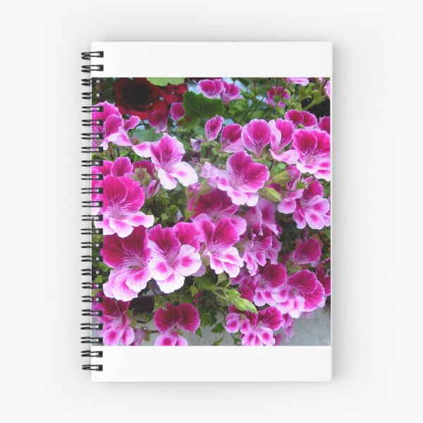 Item preview,  Pelargonium designed and sold by Ana Belaj.