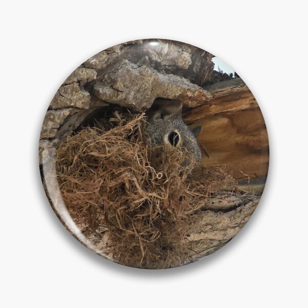 Item preview, Squirrel Condo designed and sold by Len Bomba.