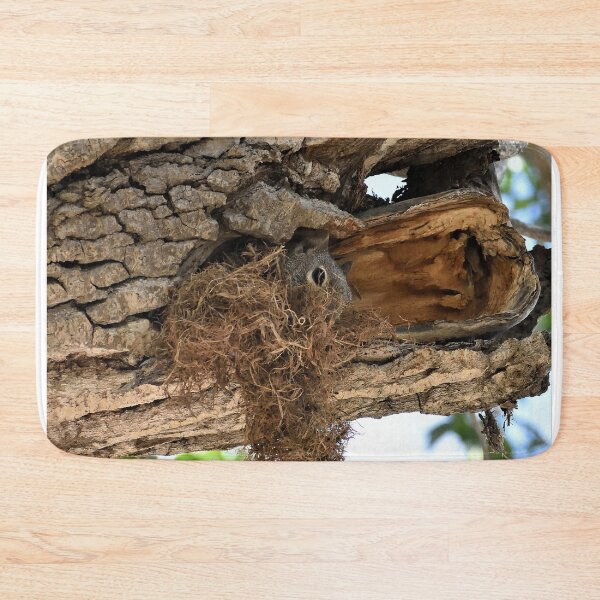 Item preview, Squirrel Condo designed and sold by Len Bomba.