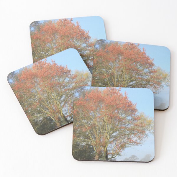Item preview, Morning arrives softly designed and sold by Robin Simmons.