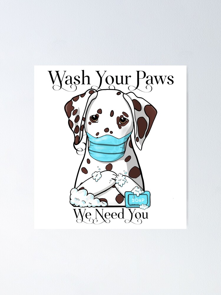 Wash store your paws