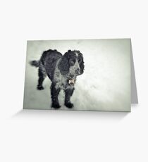 An Adventure Greeting Card
