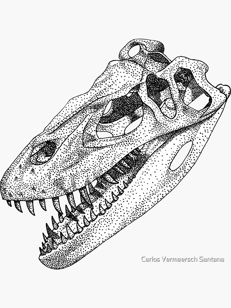 Torvosaurus Skull Sticker By Carlosvenator Redbubble