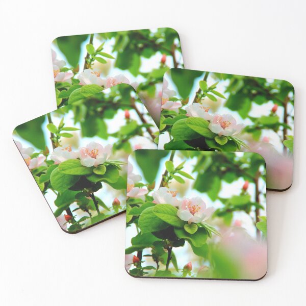 Item preview, Pink flowers standing out from the bloom of a quince tree designed and sold by Kristina Drozd.
