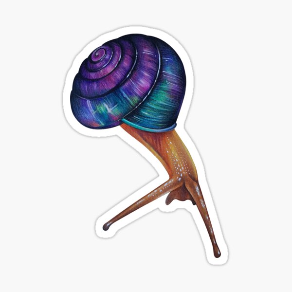 Rainbow Snail Sticker