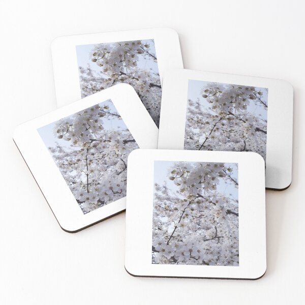 Item preview, Blossom designed and sold by julixristova.
