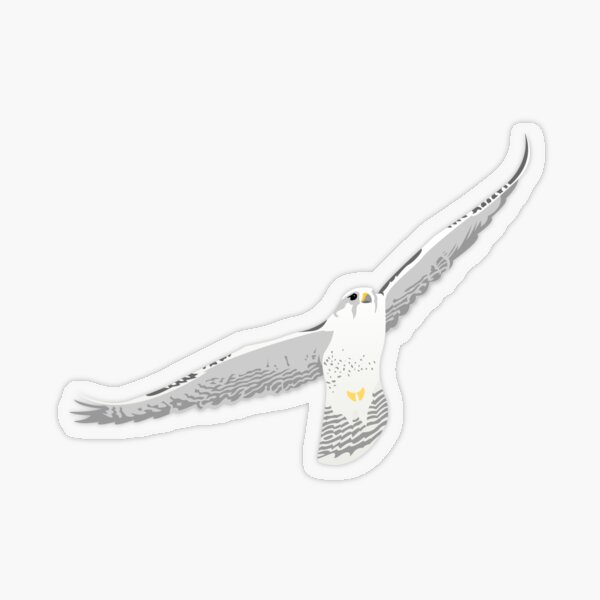 White Gyrfalcon in Flight Transparent Sticker