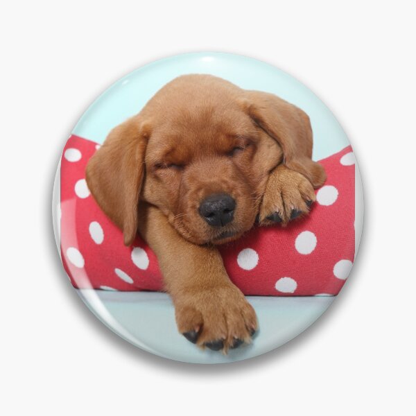 Item preview, sleeping labrador puppy designed and sold by JeanettesPets.
