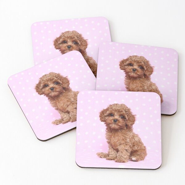 Item preview, Cavapoo puppy designed and sold by JeanettesPets.