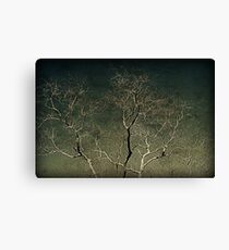 Decayed Canvas Print