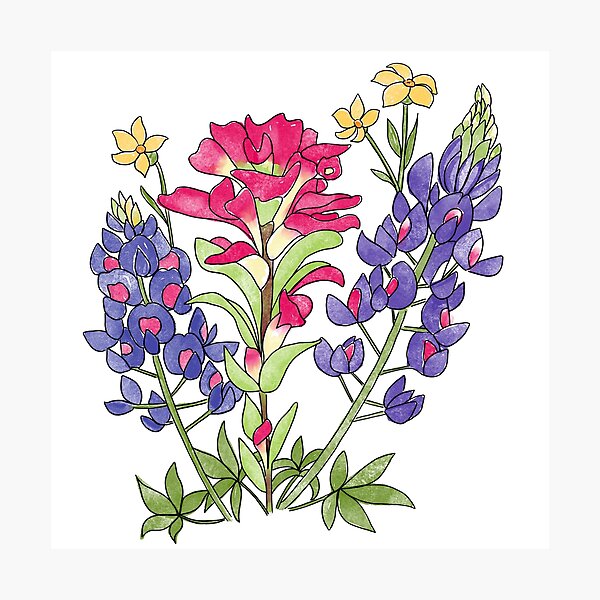 Item preview, Texas wildflower bouquet  designed and sold by Zendays.