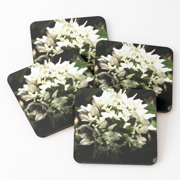 Item preview, A Perfect Clover In Lock Down v.1 designed and sold by Mark Polk.