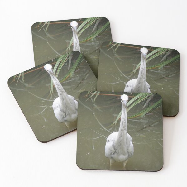 Item preview, Leucistic Grey Heron Stare Photograph designed and sold by naturegallery.