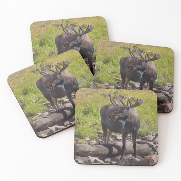 Item preview, Bull Moose over Log designed and sold by jmscyclist.