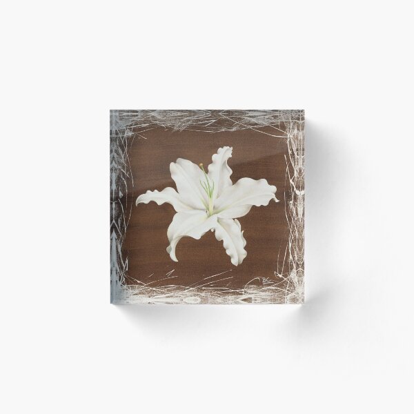 Brown Lily Acrylic Block