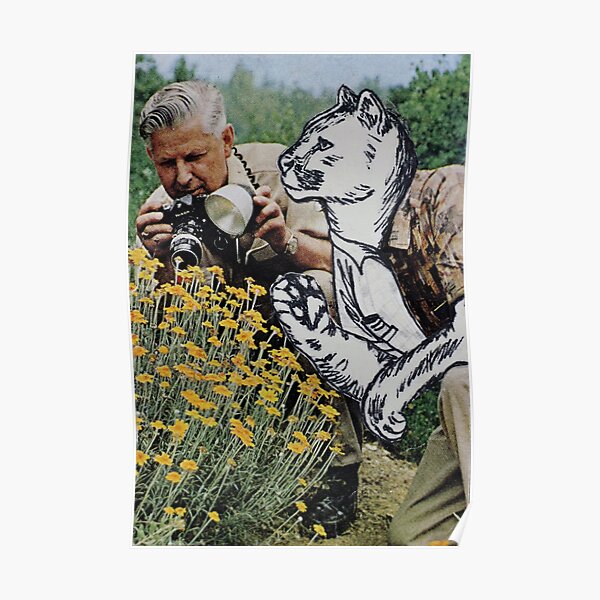 National Geographic Posters for Sale | Redbubble